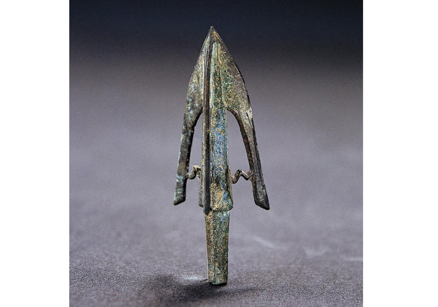 Three-winged arrowhead